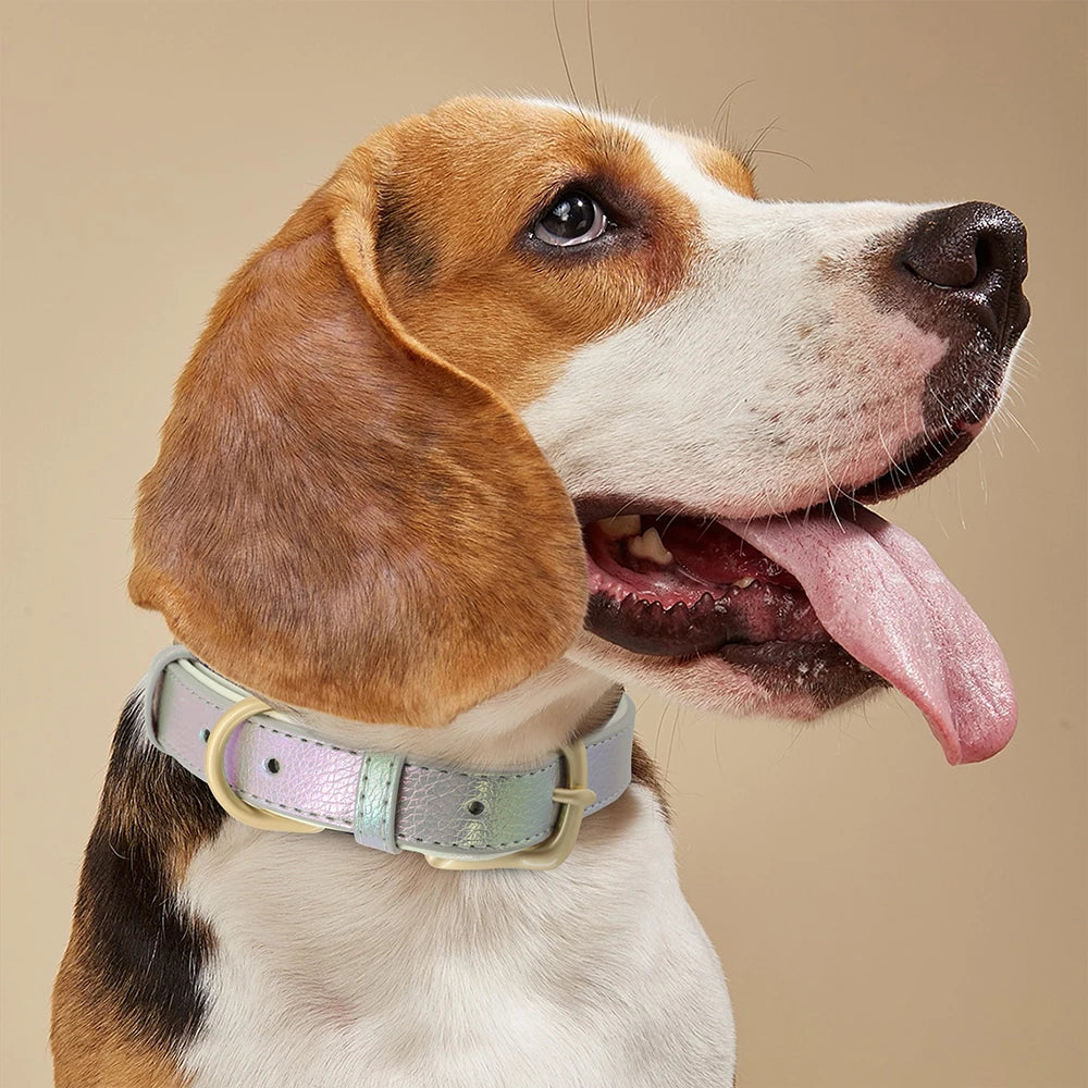 Personalized Leather Dog Collar – Custom Engraved Nameplate ID Tag for Small, Medium & Large Dogs