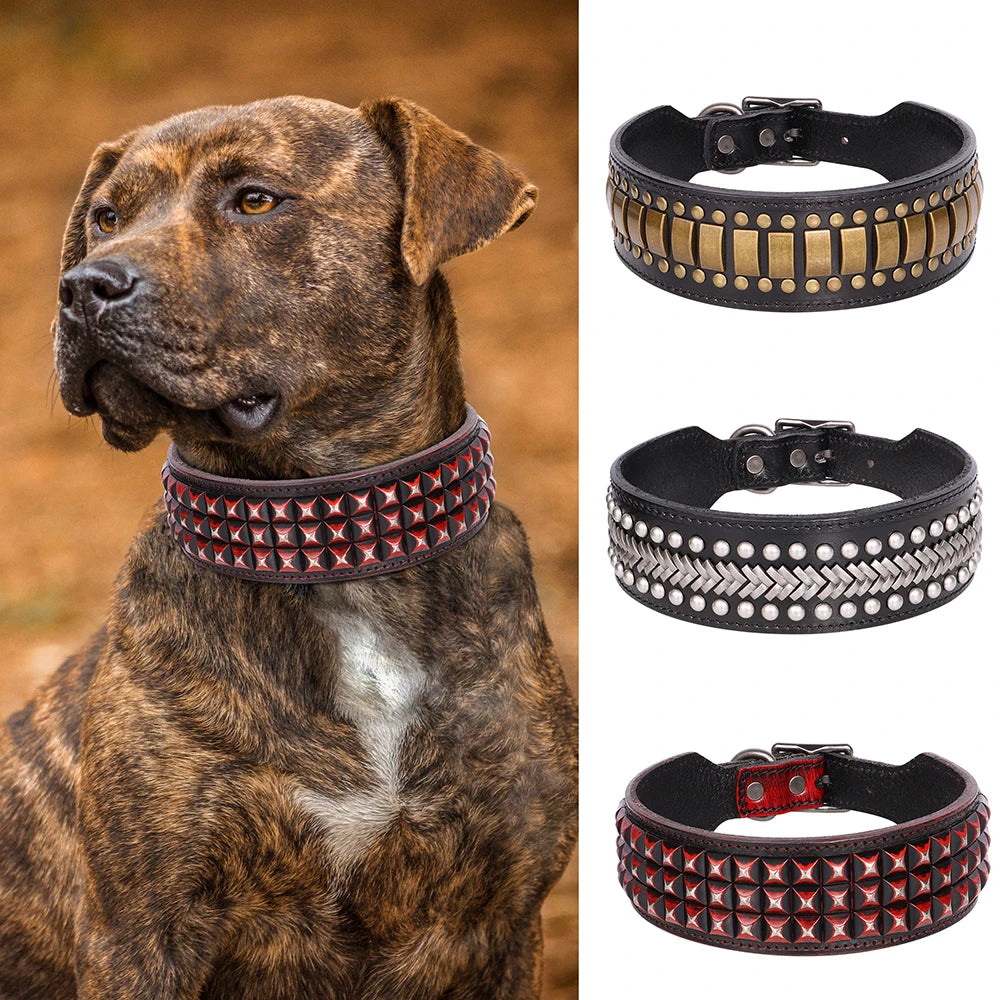 2-Inch Wide Luxury Leather Dog Collar with Durable Rivets – Stylish & Strong for Medium & Large Dogs