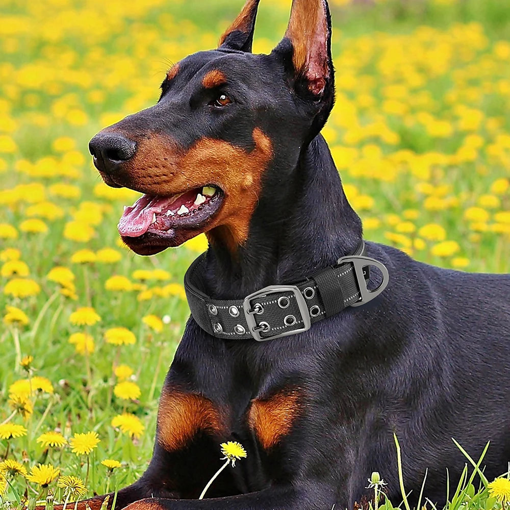 Tactical Military Dog Collar – Adjustable Nylon Training Collar with Handle for Medium & Large Dogs