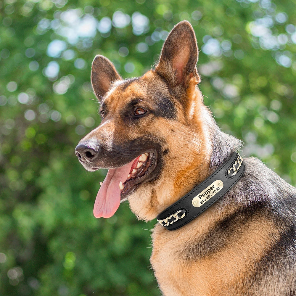 Custom Leather Dog Collar with Personalized Nameplate – Stylish & Durable ID Tag for Small to Large Dogs