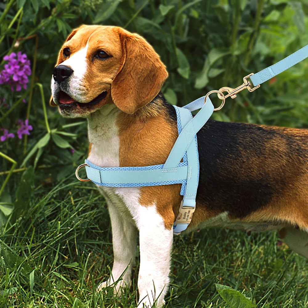 Personalized Nylon Dog Harness – No Pull Adjustable Vest with Free Engraving for Medium & Large Dogs