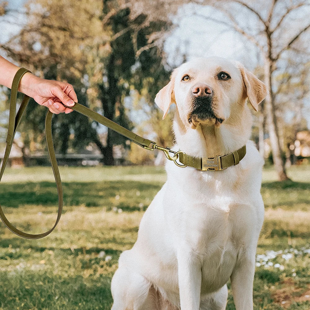 🦴 Personalized Dog Collars Collection – Custom Engraved, Stylish & Secure 🐾