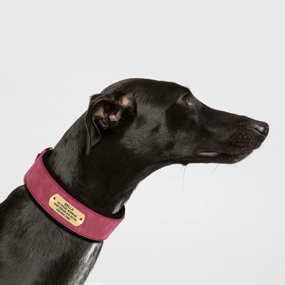 Customized Engraved Wide Leather Dog Collar – Soft Padded for Medium & Large Dogs