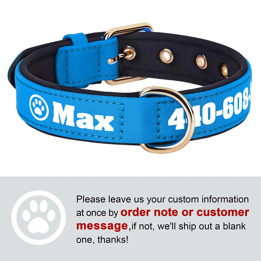 Custom Leather Dog Collar – Free Name & Number | Soft Padded & Adjustable