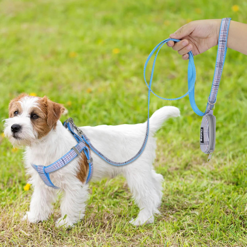 Adjustable Pet Harness & Leash Set – Soft Nylon Dog & Cat Vest