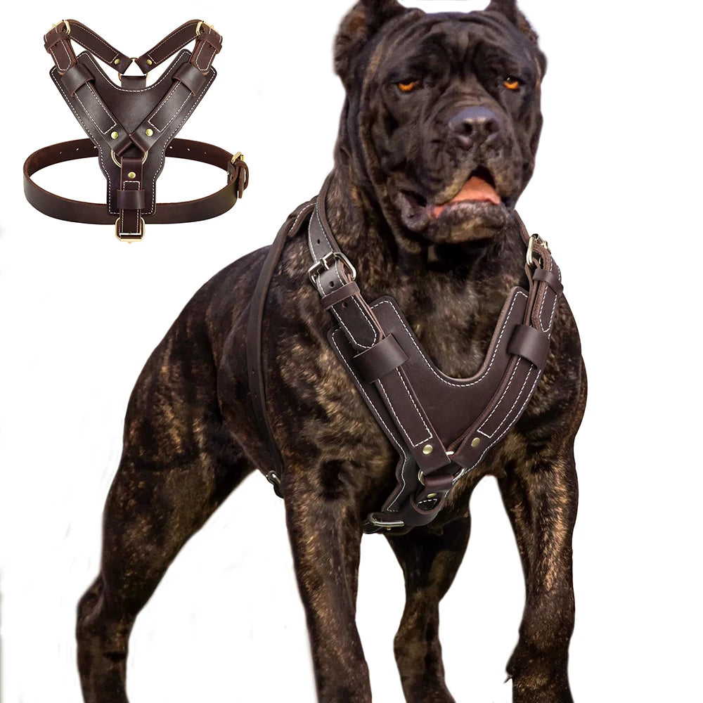 Durable Large Dog Harness Genuine Leather Dog Vest Harnesses Adjustable Quick Control With Handle Pet Supplies For Labrador