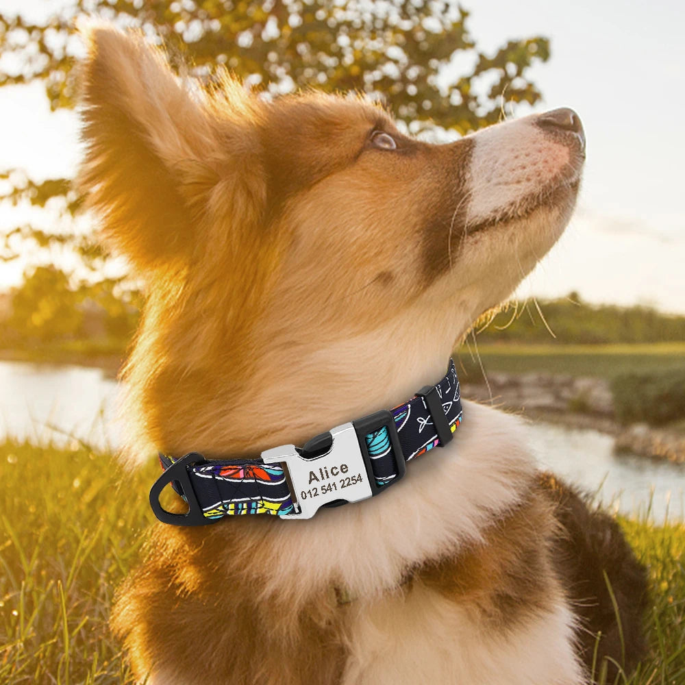 Personalized Nylon Dog Collar with Engraved Nameplate – Custom ID Tag for Small, Medium & Large Dogs
