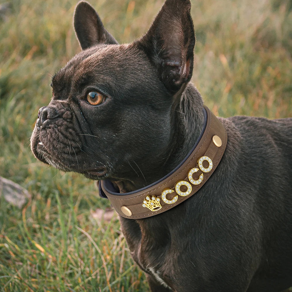 Custom Leather Dog Collar – Personalized Bling with Name & Charms