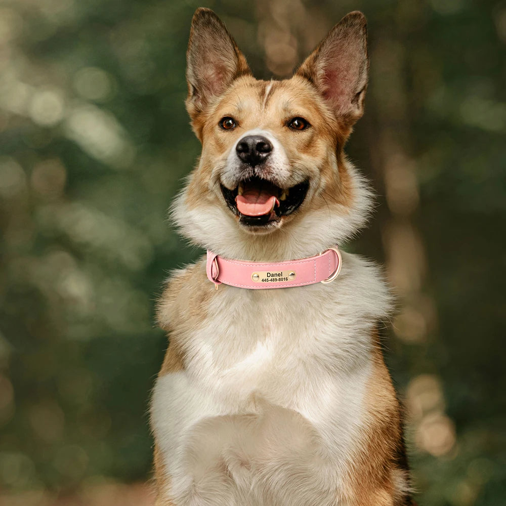Custom Leather Dog Collar – Personalized with Free Engraving | XS–XXL Sizes