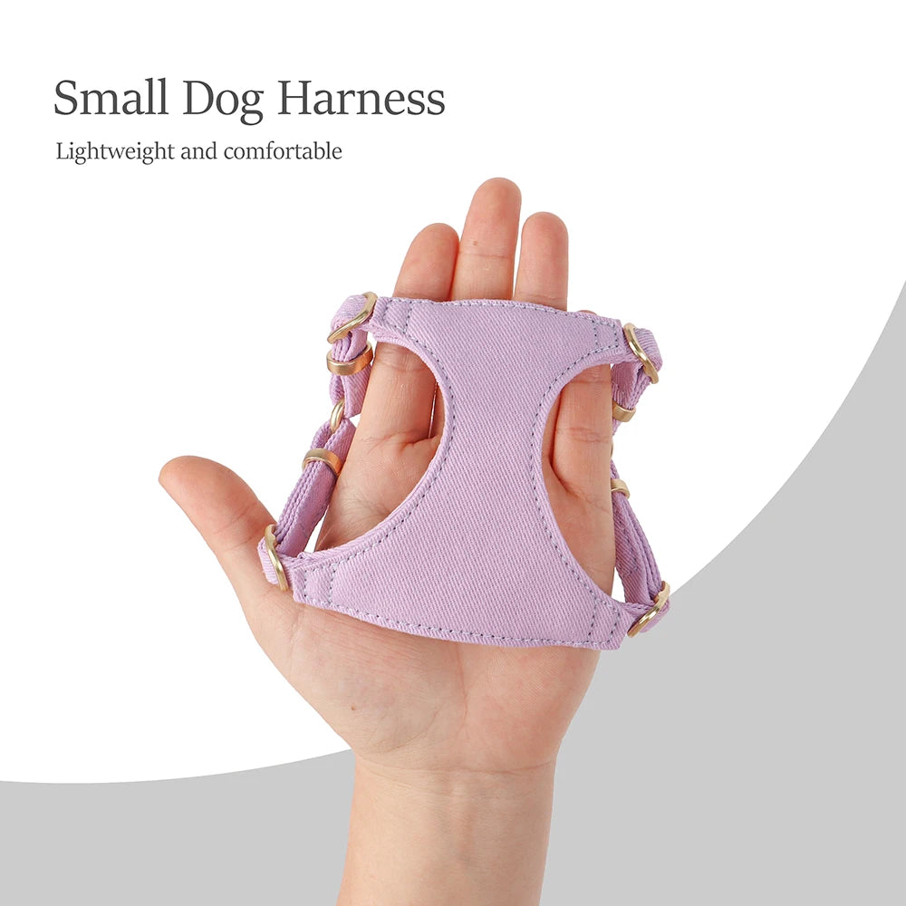 Small Dog Harness & Leash Set – Adjustable Pet Vest with Bowknot Collar for Small & Medium Dogs