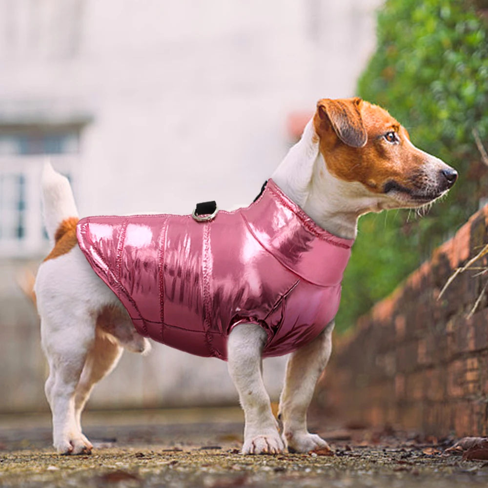 Warm Waterproof Dog Vest with Built-In Harness – Reflective Winter Jacket for Small & Medium Dogs