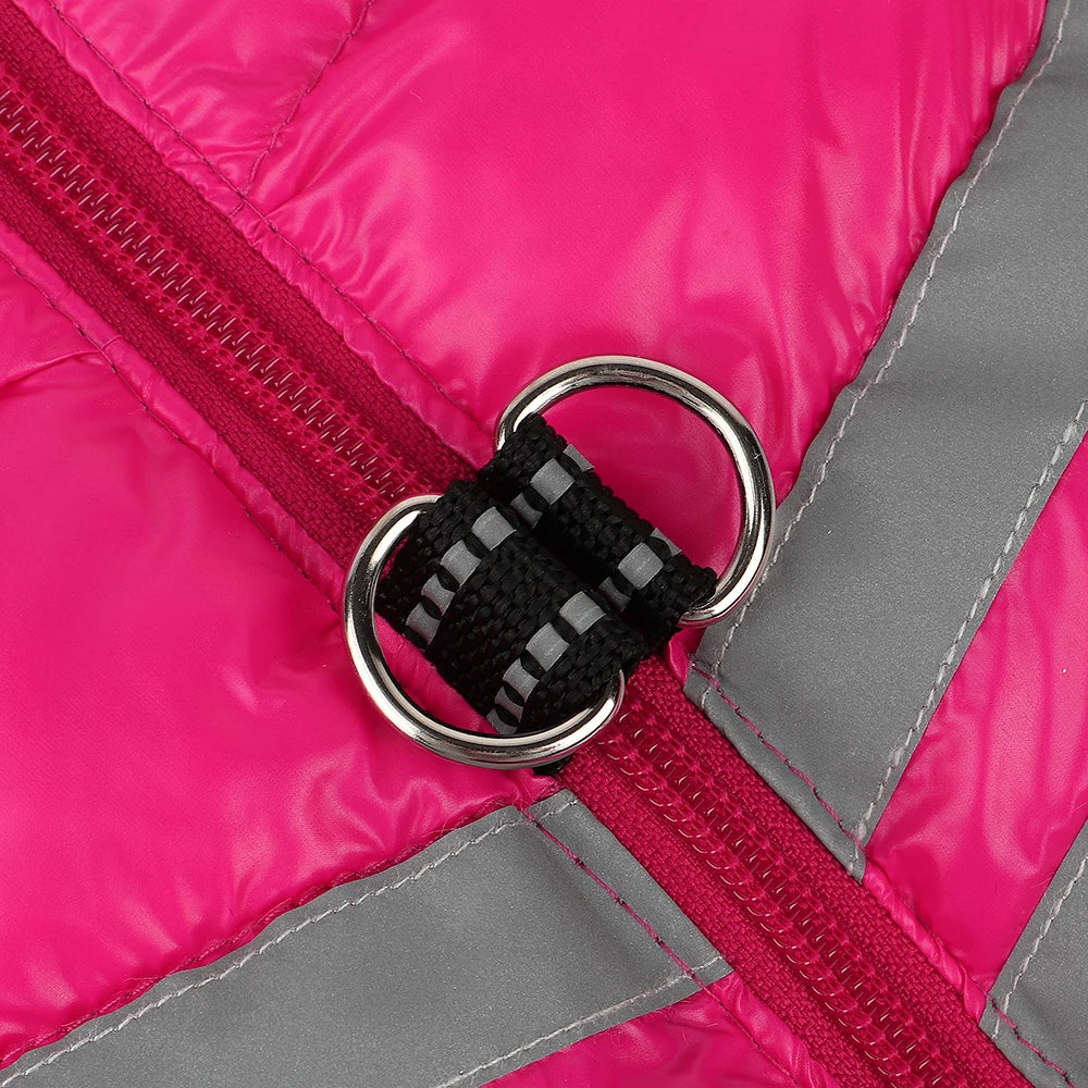 Warm Winter Dog Coat – Waterproof Jacket for Small & Medium Breeds