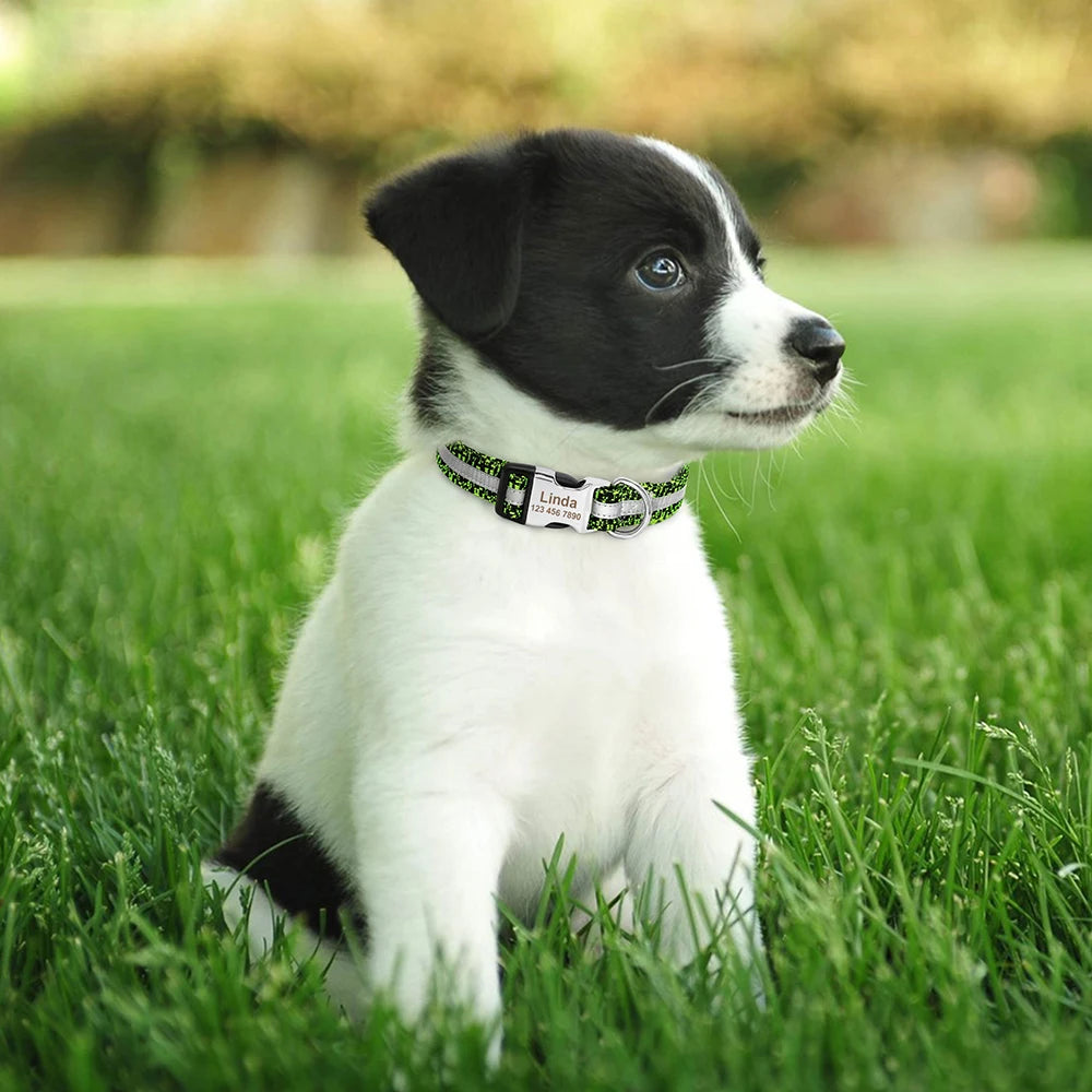Adjustable Personalized Dog Collar – Custom Engraved Nylon Pet ID Collar | For Small, Medium & Large Dogs