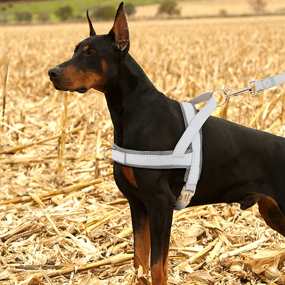 Personalized Nylon Dog Harness – No Pull Adjustable Vest with Free Engraving for Medium & Large Dogs
