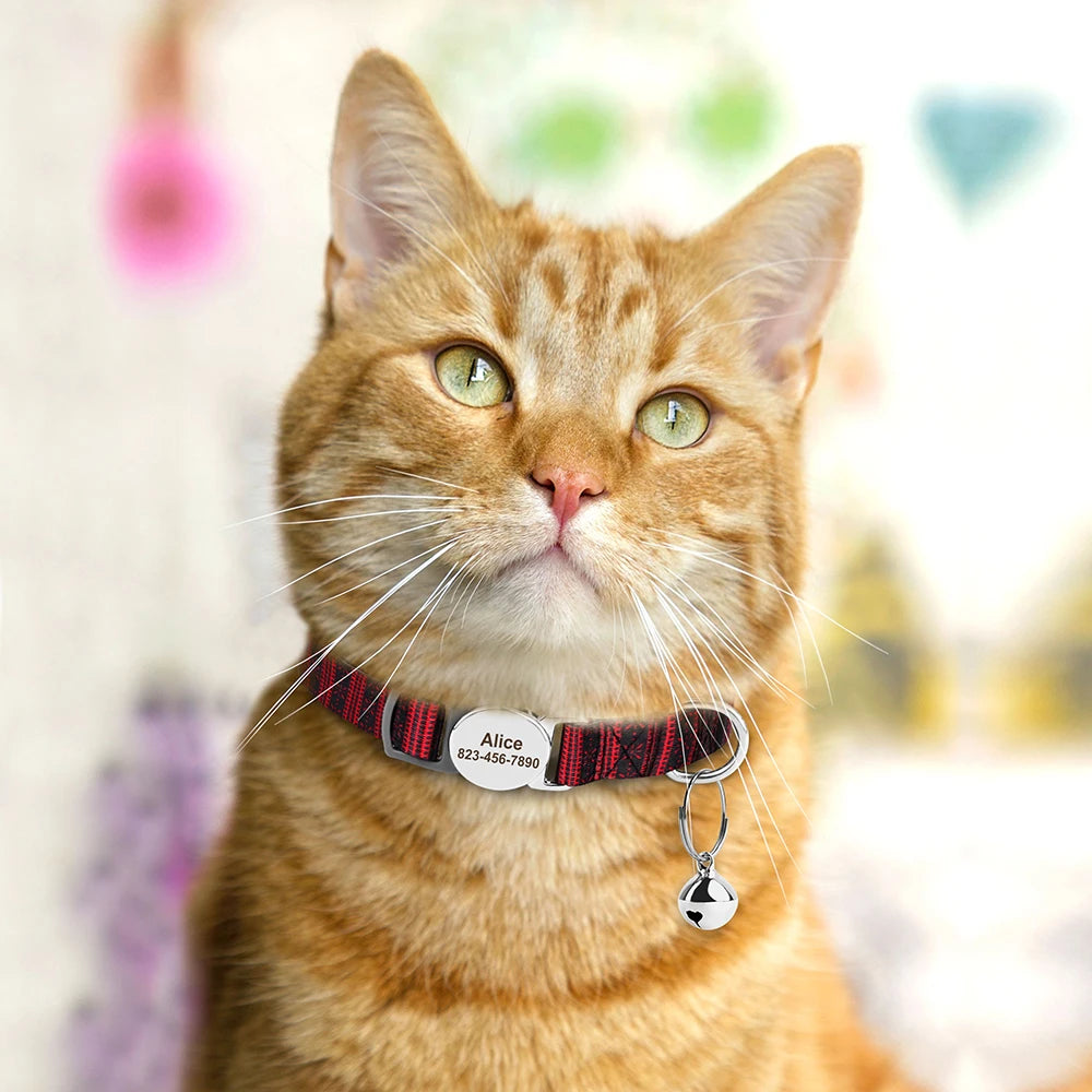 Custom Cat Collar with Engraved ID Tag & Bell – Personalized Safety Collar for Cats & Small Dogs