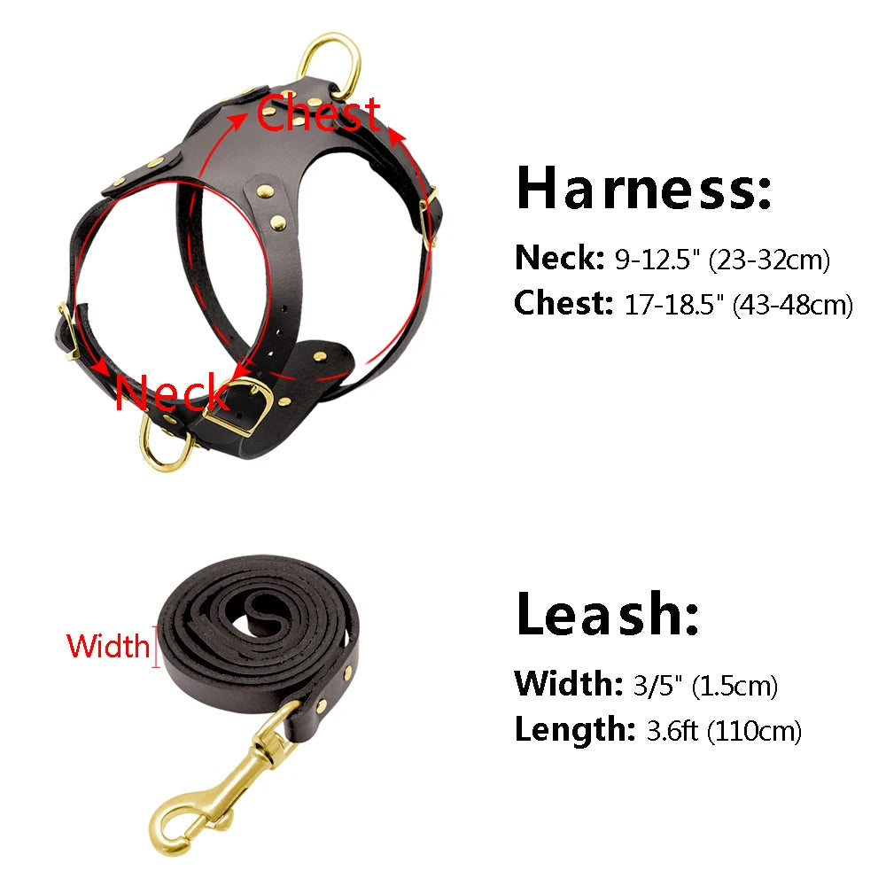Genuine Leather Dog Harness Vest & Leash Set – Adjustable Pet Harness for Small & Medium Dogs (Pug, Beagle, Bulldog, Brown)
