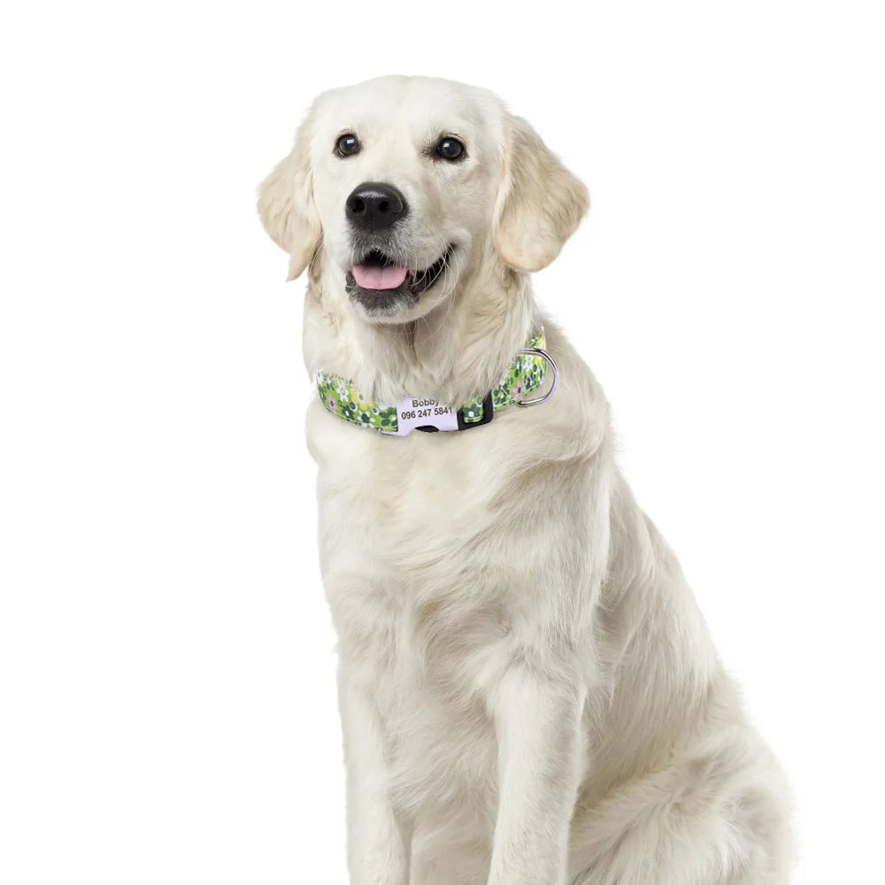 🎨 Personalized Nylon Dog Collar – Free Engraving, Adjustable Fit for Small to Large Dogs