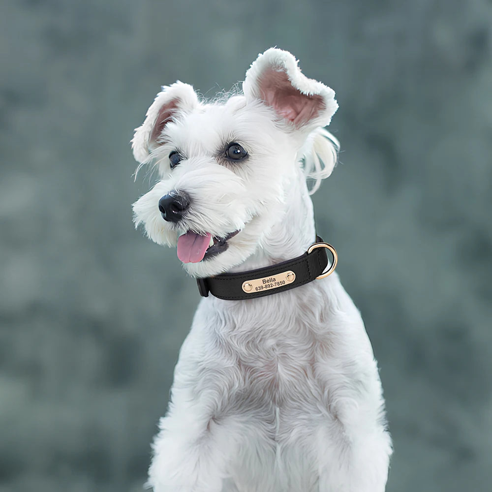 Custom Nylon Dog Collar – Waterproof Personalized Pet Collar with Engraved ID Nameplate for Small & Medium Dogs