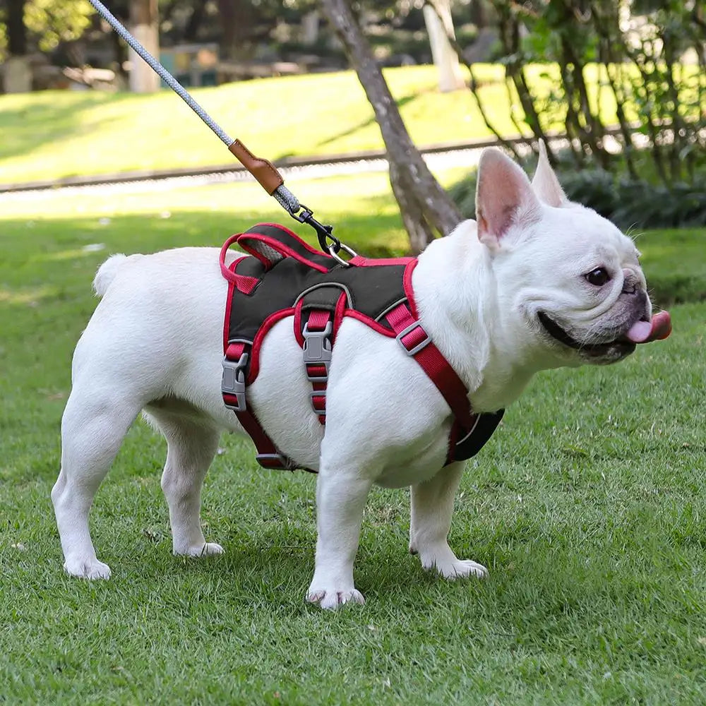 Reflective Dog Harness Vest – No Pull Nylon Adjustable Pet Harness with Double Handles for Small & Medium Dogs (Pitbull, French Bulldog)