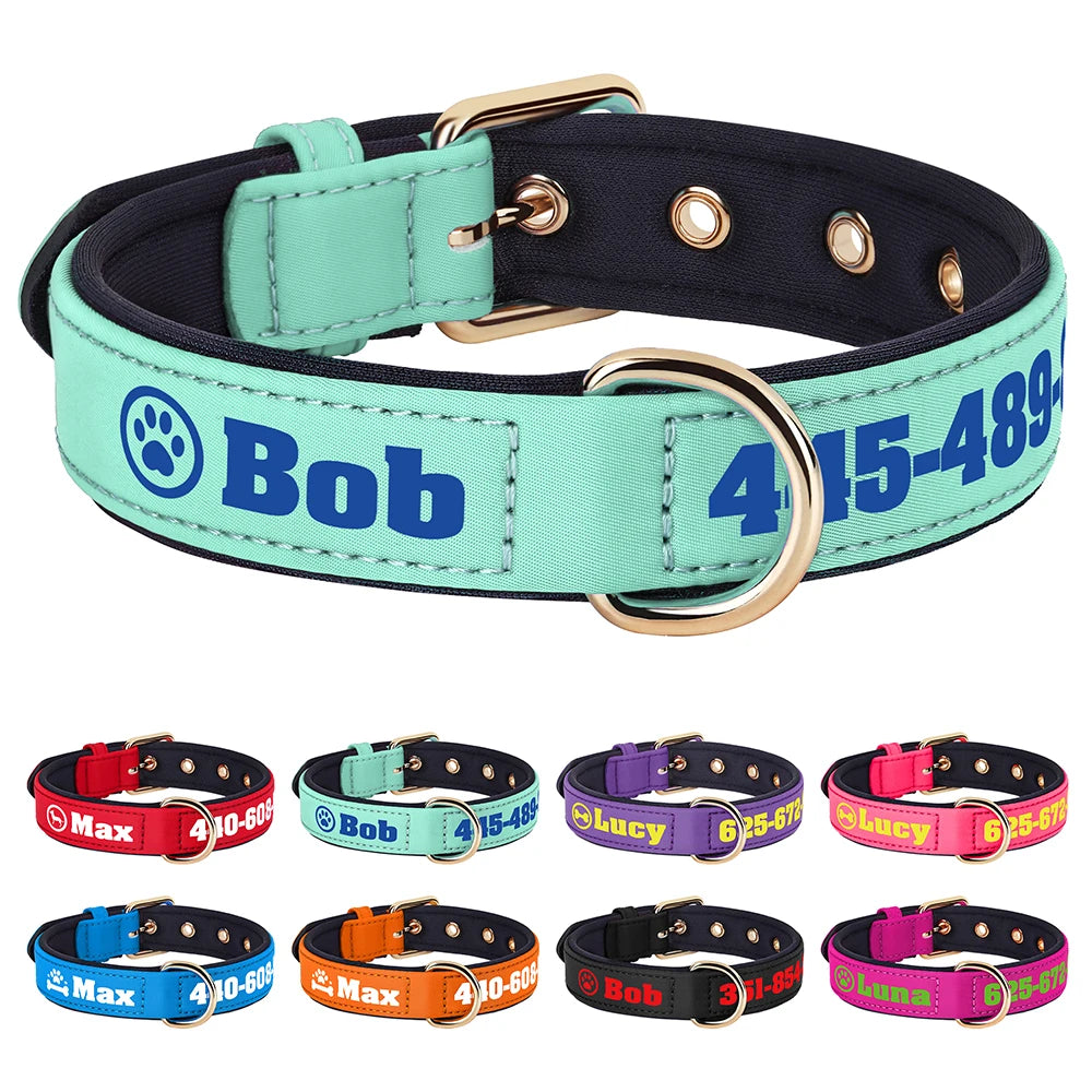 Custom Leather Dog Collar – Free Name & Number | Soft Padded & Adjustable