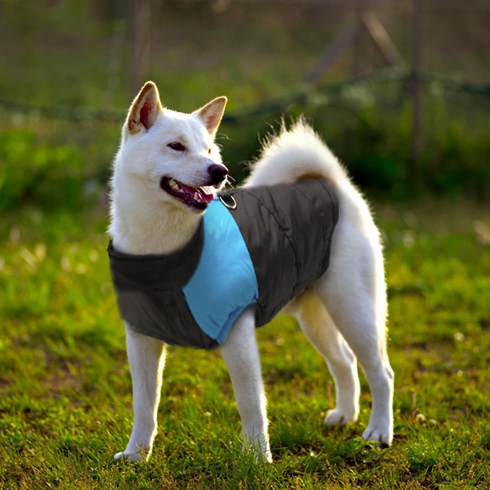 Waterproof Dog Coat with Hood – Warm Winter Jacket for Small, Medium & Large Dogs