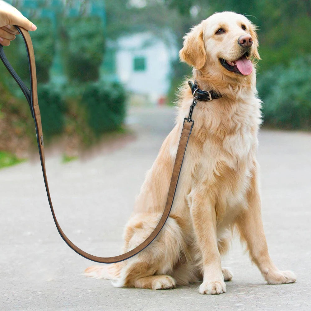 Leather Dog Leash with Padded Handle – Durable Walking & Training Lead for Small Medium Large Dogs