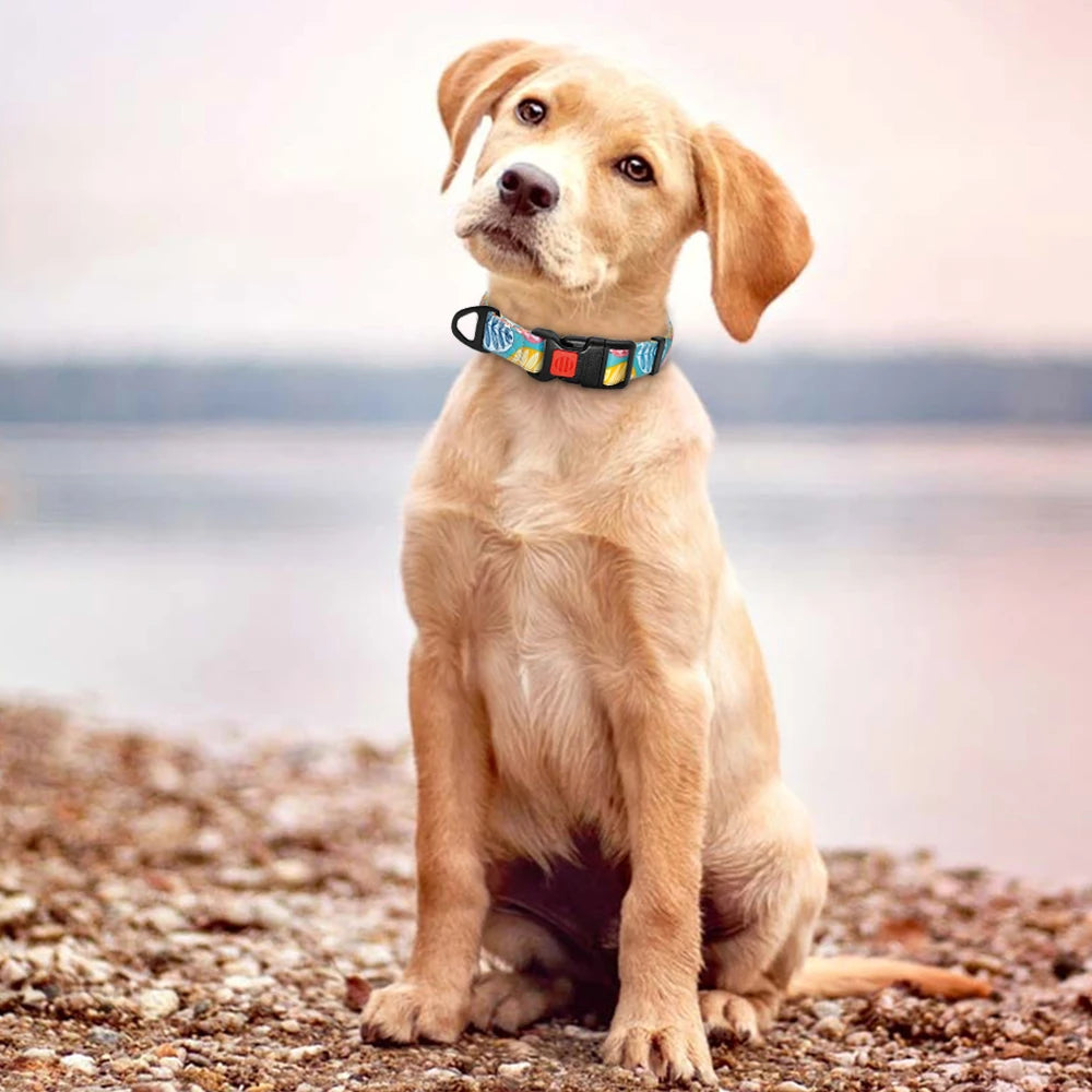 Nylon Custom Dog Collar & Leash Set with Personalized Leather Nameplate – Adjustable ID Tag for Small, Medium & Large Dogs