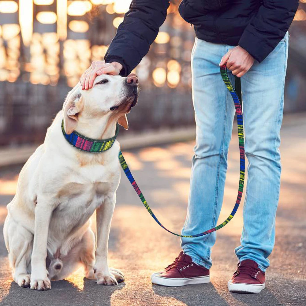 Reflective Padded Dog Collar & Leash Set – Fashionable, Adjustable, Comfortable