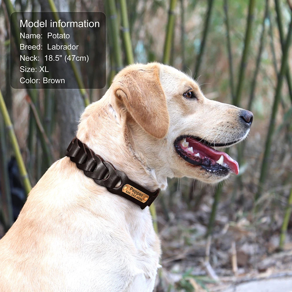 Custom Engraved Leather Dog Collar – Personalized Nameplate for Medium & Large Dogs