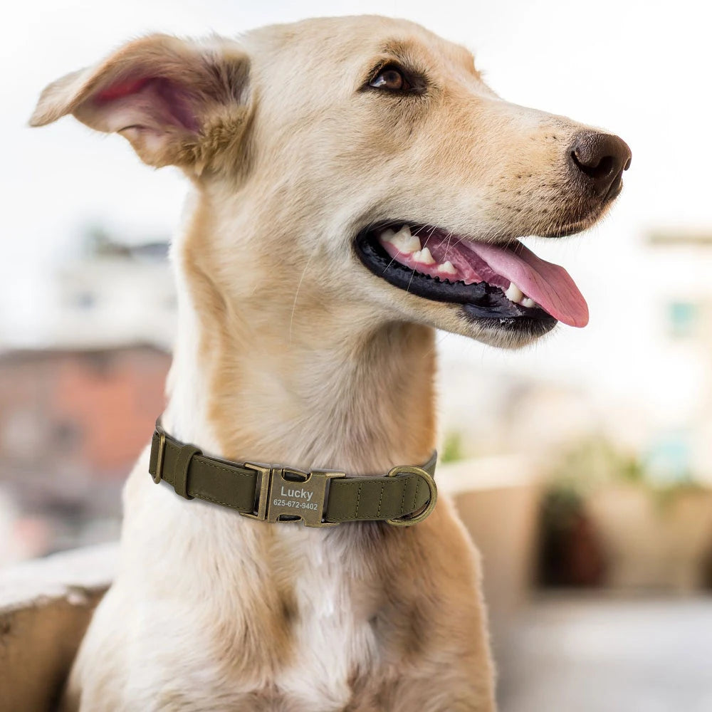 Personalized Anti-Lost Dog Collar – Custom ID Tag Engraved | PU Leather Collar with Free Nameplate for Dogs