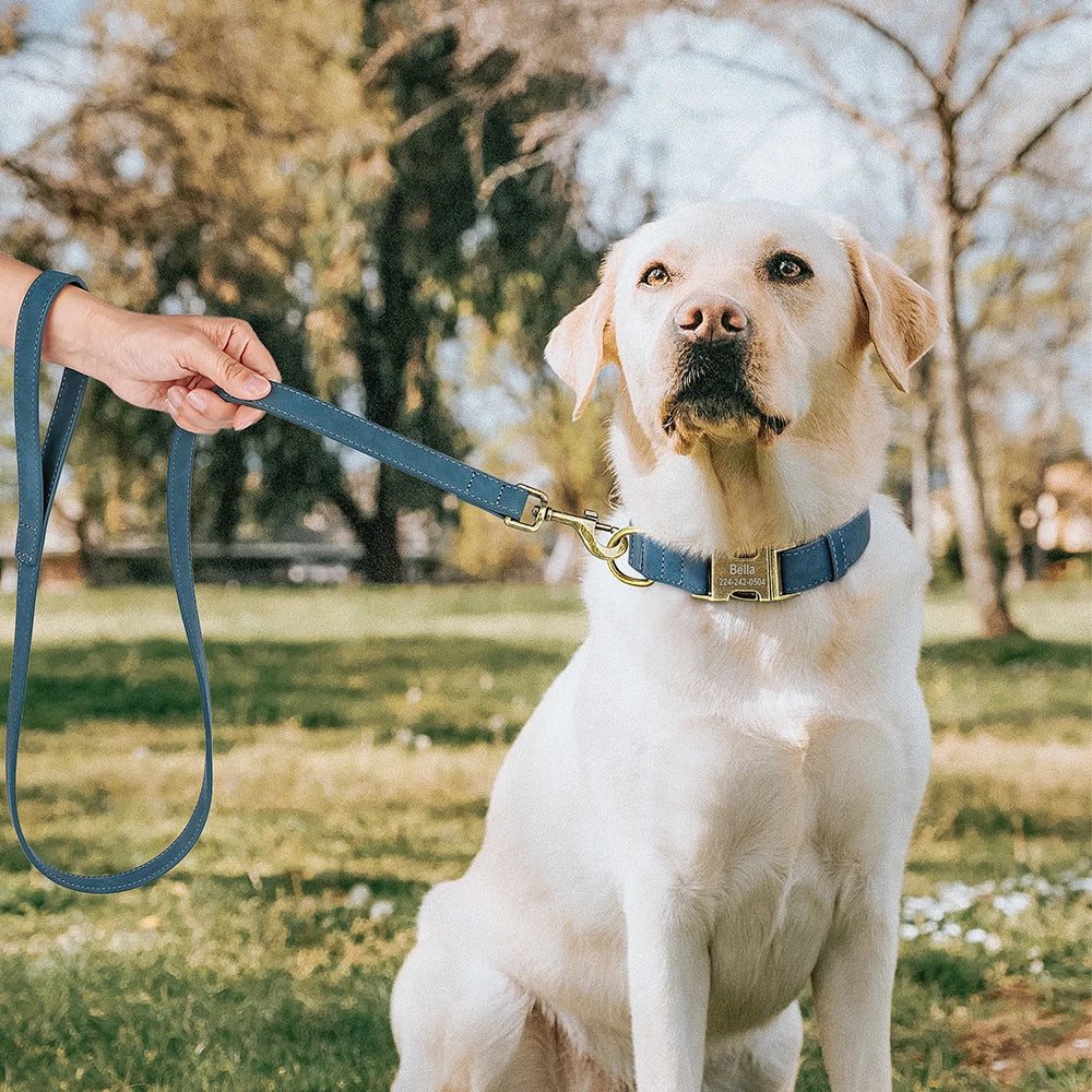 🦴 Personalized Dog Collars Collection – Custom Engraved, Stylish & Secure 🐾