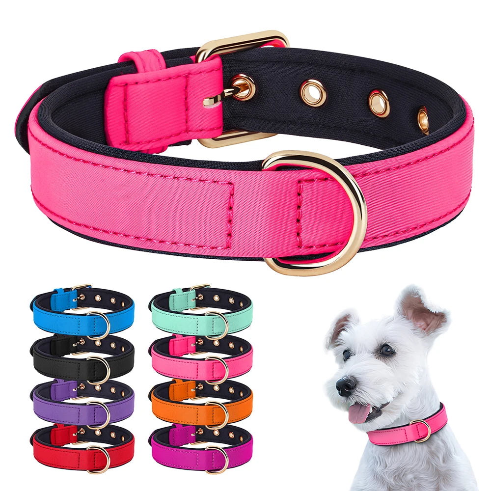Waterproof Nylon Dog Collar – Soft Padded & Breathable Adjustable Collar for Small & Medium Dogs