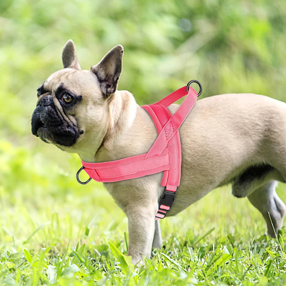 Nylon Padded Dog Harness Vest – Adjustable No Pull Soft Pet Harness for Small & Medium Dogs (French Bulldog, Chihuahua, Puppy, Cat Vest)