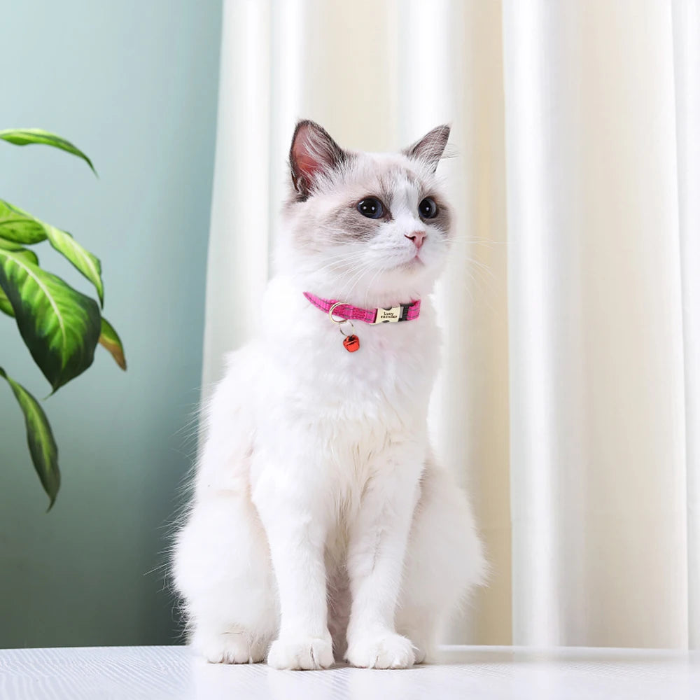 Personalized Cat Collar Free Engraved Pet ID Collars Adjustable Nylon Cat Necklace For Small Dogs Puppy Kitten With Cute Bell