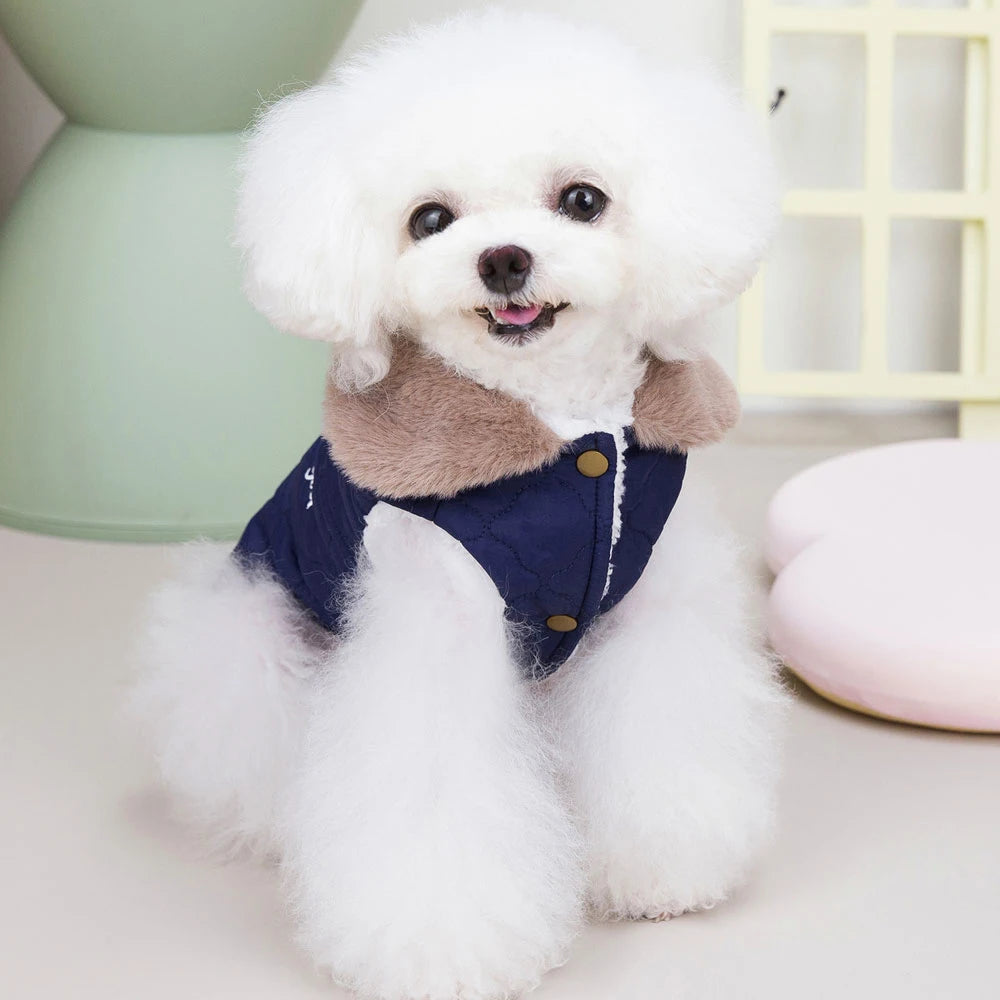 Winter Dog Coat with Fur Collar – Waterproof Warm Jacket for Small & Medium Dogs
