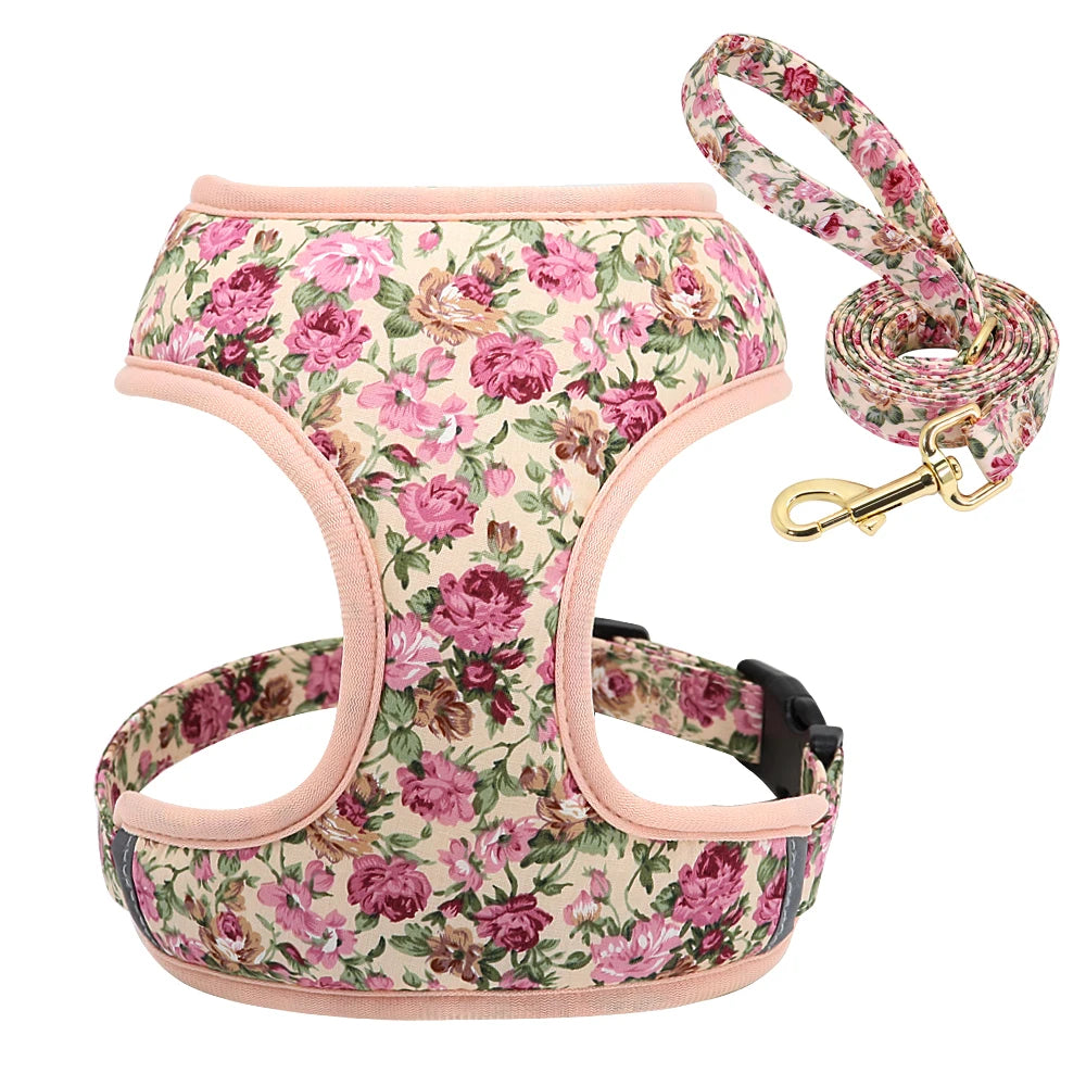 Cute Printed Dog Harness & Leash Set – Soft Mesh Adjustable Vest for Small & Medium Dogs & Cats (Chihuahua, Yorkie, Pug, Bulldog, Kitten)