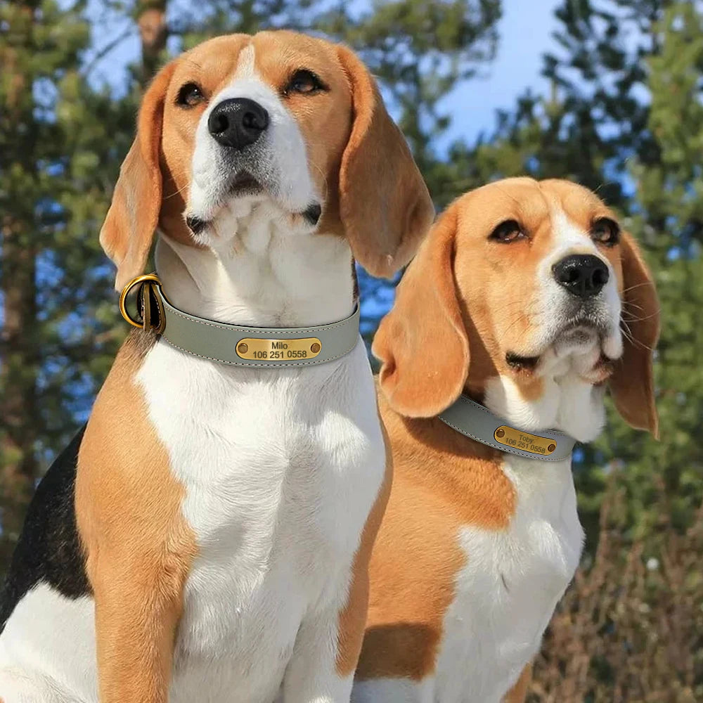 Custom Dog Collar – Personalized ID Tag Collar for Small, Medium, and Large Dogs
