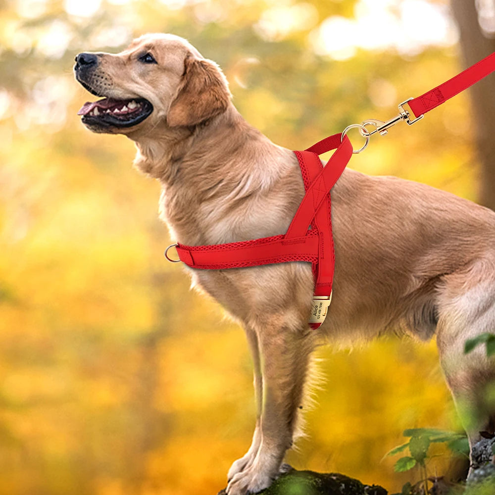Personalized Nylon Dog Harness – No Pull Adjustable Vest with Free Engraving for Medium & Large Dogs
