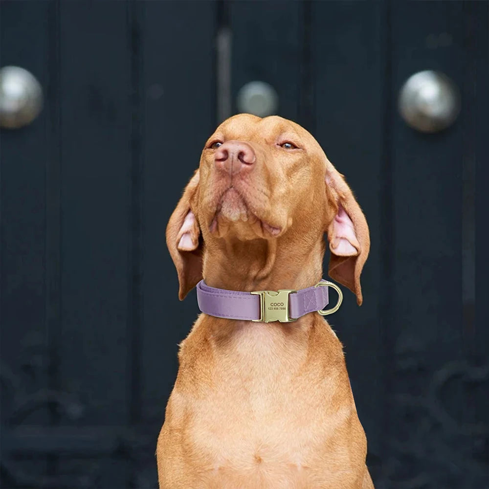 Engraved Dog Collar – Personalized ID Tag for Dogs & Cats (XS–L)