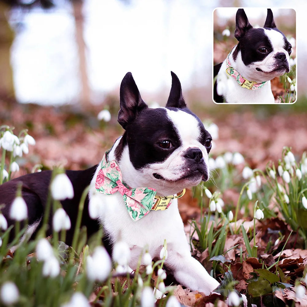 Personalized Flower Dog Collar with Bowtie – Free Engraving, Adjustable Sizes