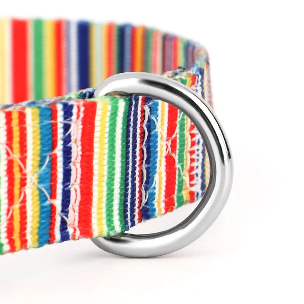 Cute Puppy Dog Collar & Leash Set – Adjustable Printed Nylon Collar with Matching Lead for Small Dogs & Cats (Flower/Bone/Striped Prints)