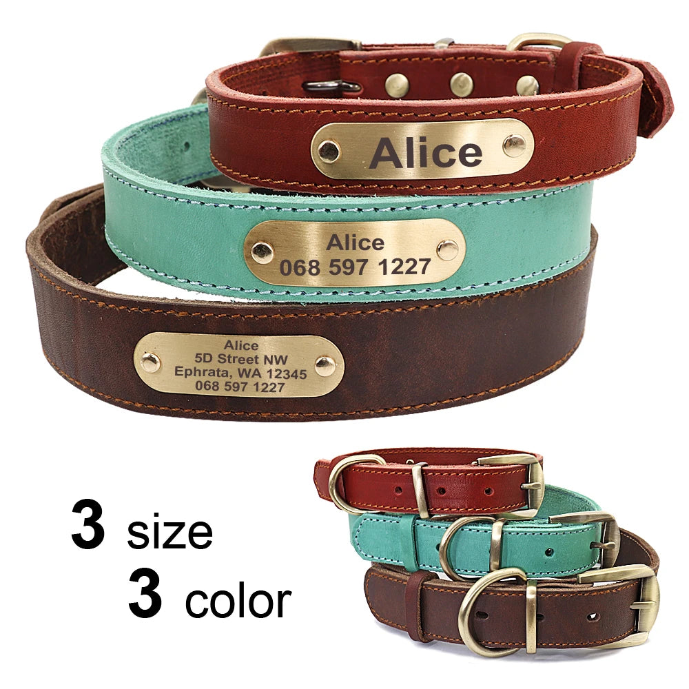 🦴 Custom Leather Dog Collar & Leash Set — Personalized for Safety & Style 🐾