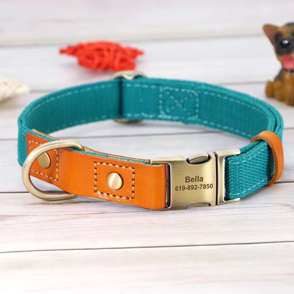 Nylon Custom Dog Collar & Leash Set – Personalized with Leather Nameplate