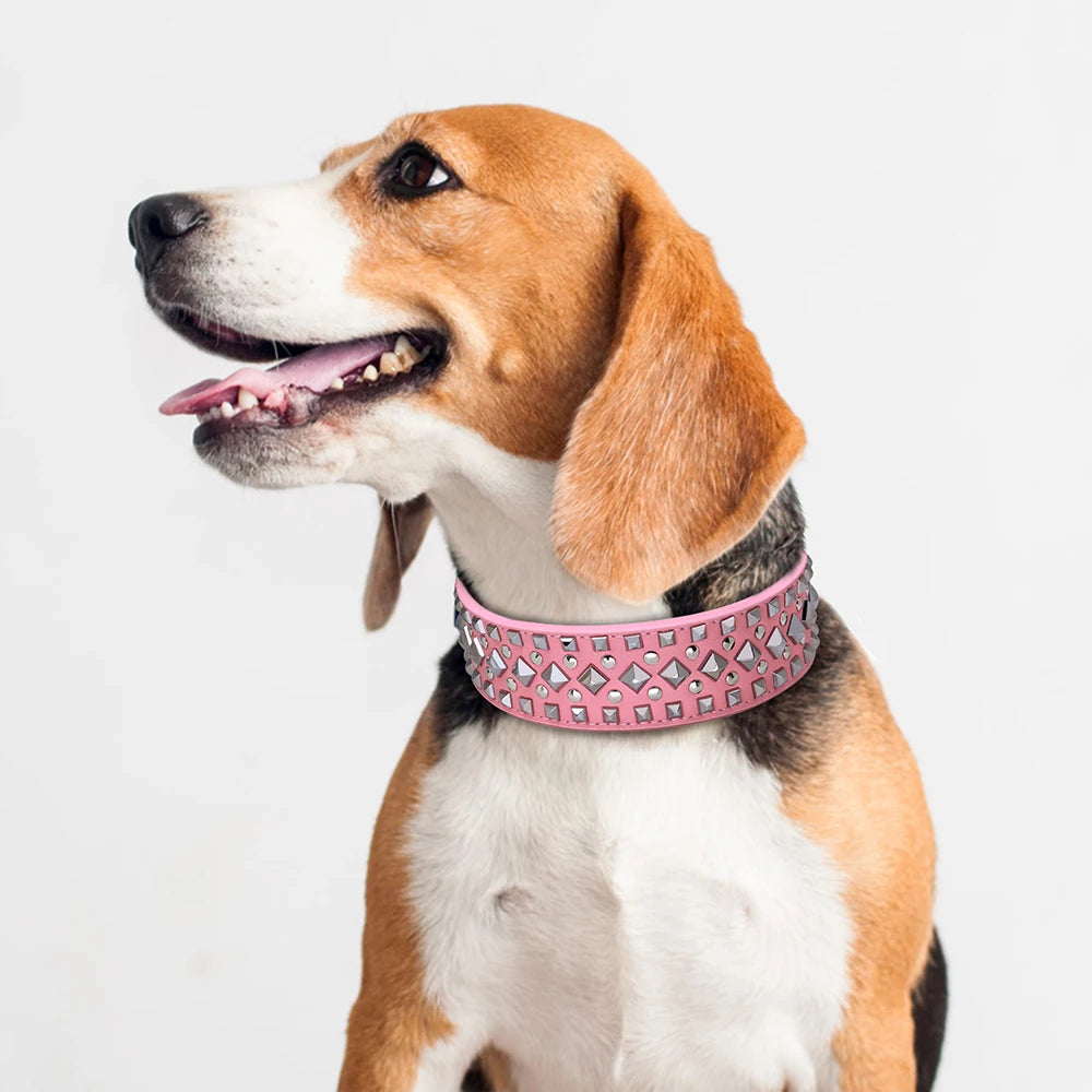Luxurious Leather Spiked Dog Collar – Adjustable for Medium & Large Dogs