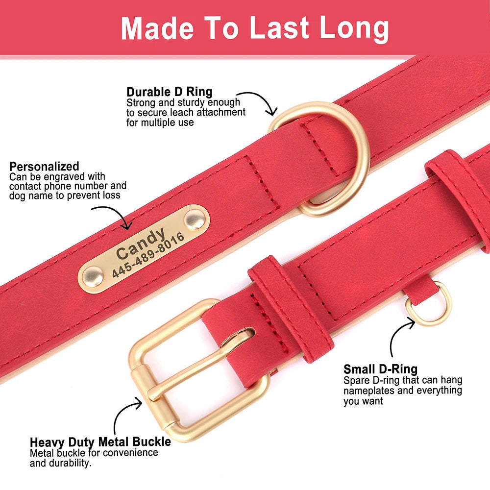 Custom Leather Dog Collar – Personalized with Free Engraving | XS–XXL Sizes
