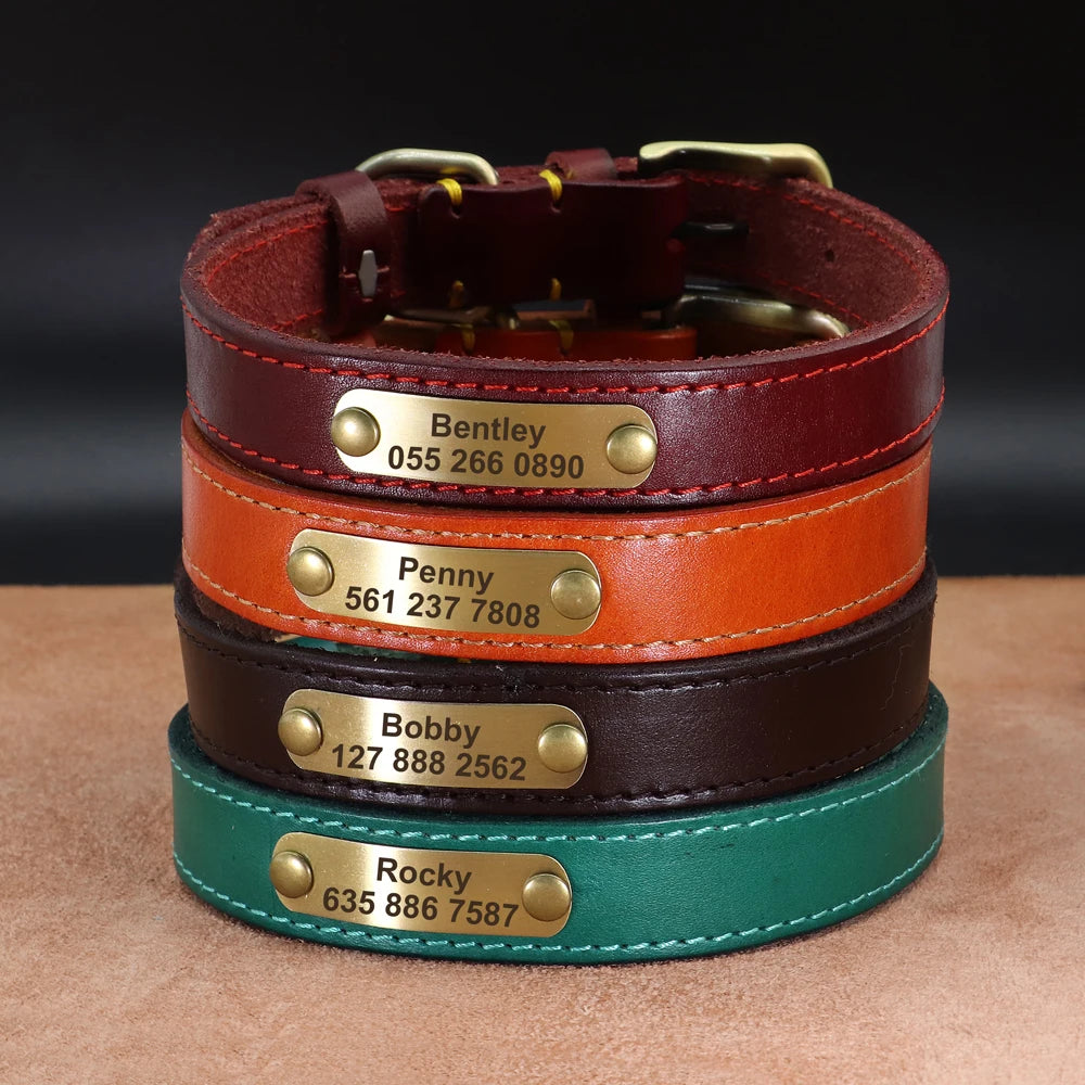 Custom Dog Collar – Personalized ID Tag Collar for Small, Medium, and Large Dogs