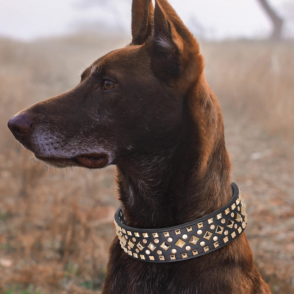 Luxurious Leather Spiked Dog Collar – Adjustable for Medium & Large Dogs