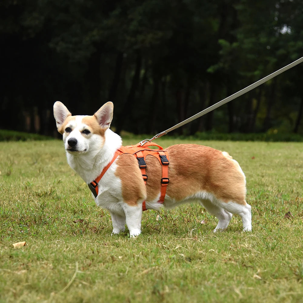 No Pull Dog Harness Reflective Waterproof Pet Harness Vest With Handle for Small Medium Large Dogs Walking Training Chest Straps