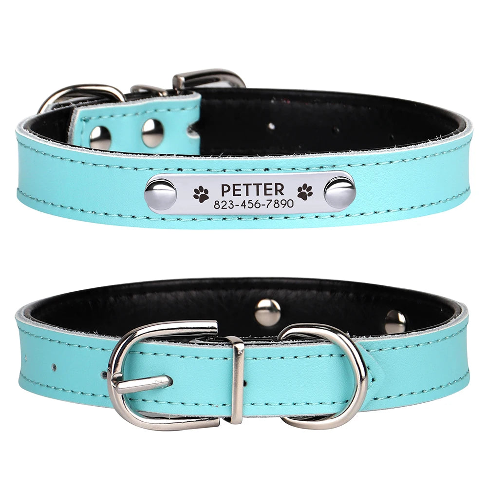 Custom Engraved Dog Collar – Personalized Puppy & Cat Collar with Nameplate – Adjustable for Small to Medium Dogs & Cats – Chihuahua, Pug, Yorkie