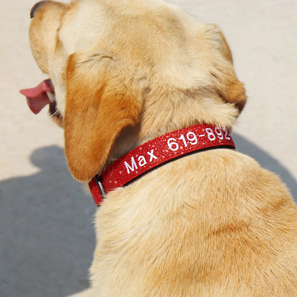 Personalized Embroidered Nylon Dog Collar – Custom Name & Phone ID – For Small, Medium & Large Dogs